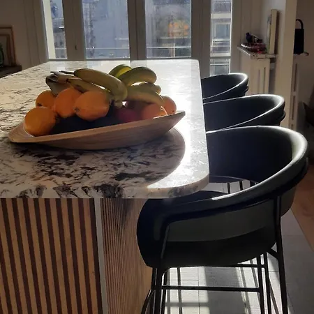 Luxury Parisian Apartment
